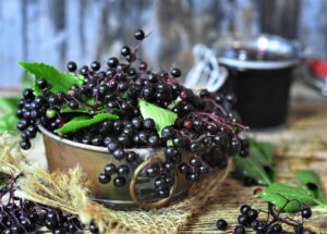 Elderberry syrup to boost immunity